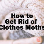 How to Get Rid of Clothes Moths Featured Image